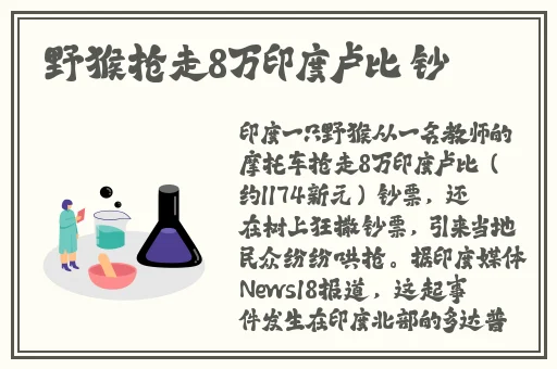 麻豆视传媒短视频免费观看