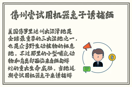 一卡二卡三卡在线视频